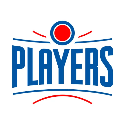 P4P - Sulzbach - Bericht